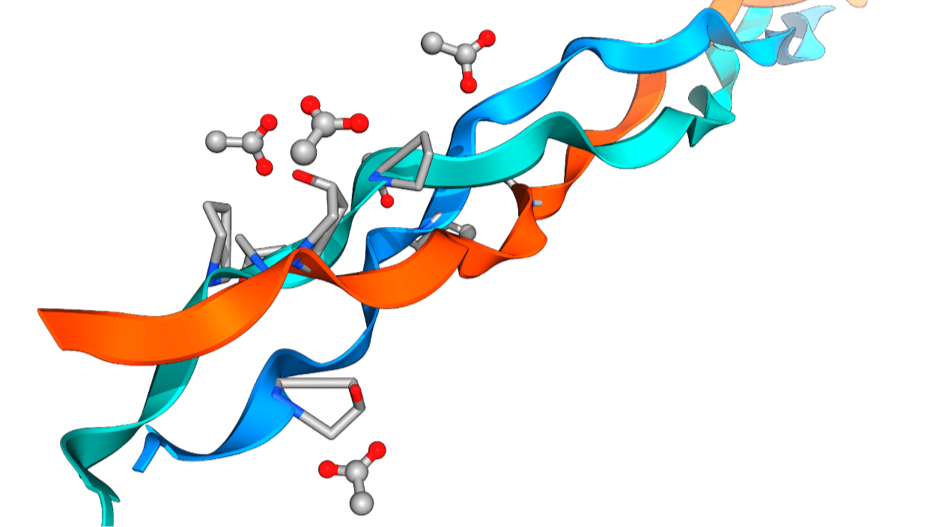 Detecting Early Arterial Damage in Atherosclerosis: How Collagen Hybridizing Peptides Overcome Diagnostic Challenges